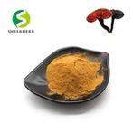 Reishi Mushroom Extract Powder