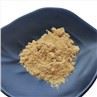 Poria Cocos Extract