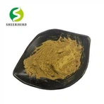 Pure Monk Fruit Powder